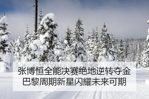 张博恒全能决赛绝地逆转夺金 巴黎周期新星闪耀未来可期